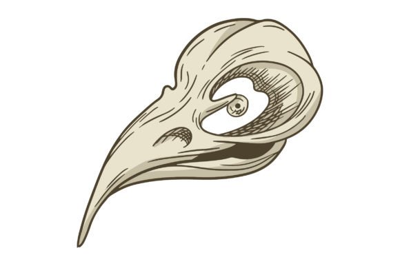 Raven Skull