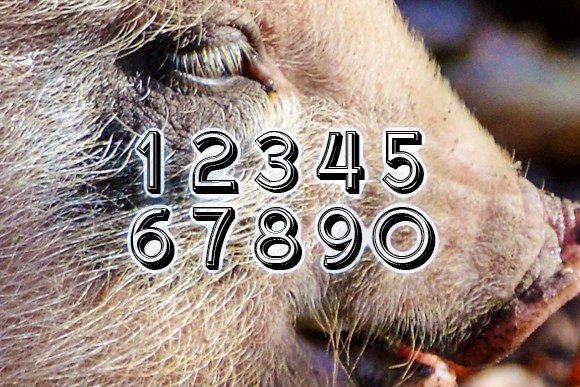 Baboy Font - Preview 2