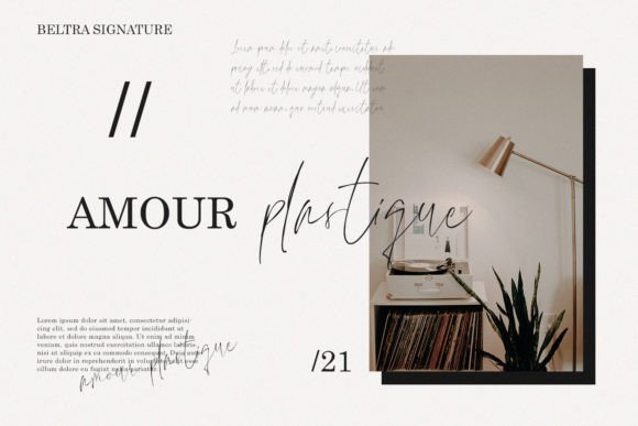 Beltra Signature Font - Preview 5
