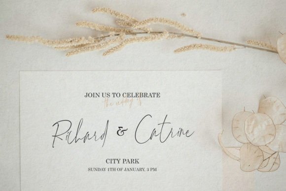 Beltra Signature Font - Preview 6