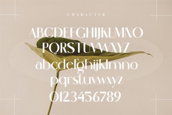 Cenosa Font - Preview 5