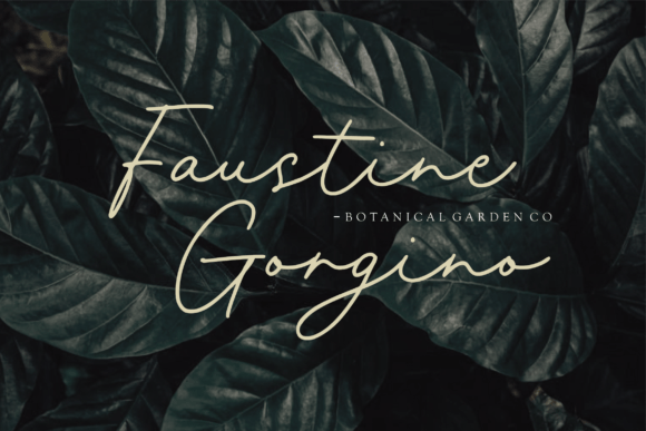 Farmhomes Font - Preview 2