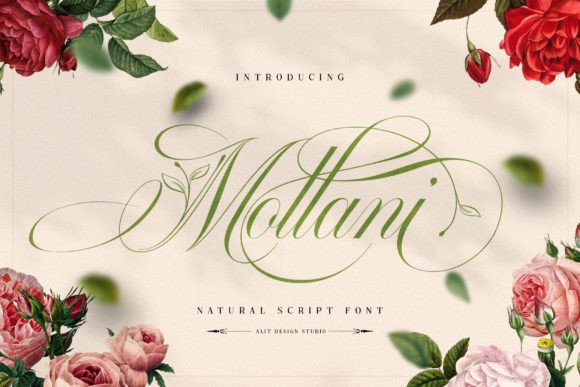 Mollani Fonts