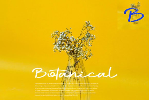 Damtode Font PNG with transparent background - Preview 3