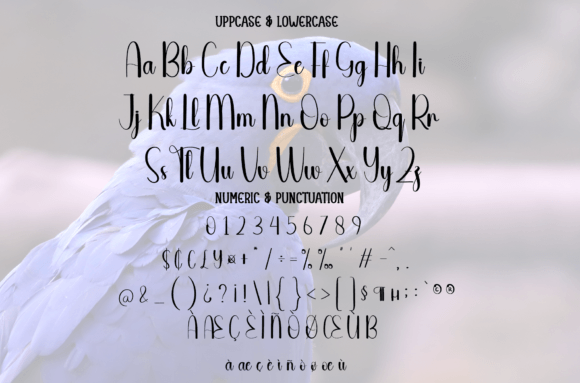 Bluebird Font - Preview 6