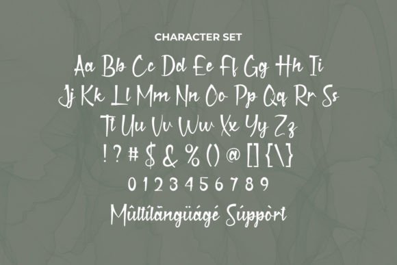 Charlie Heston Font - Preview 5