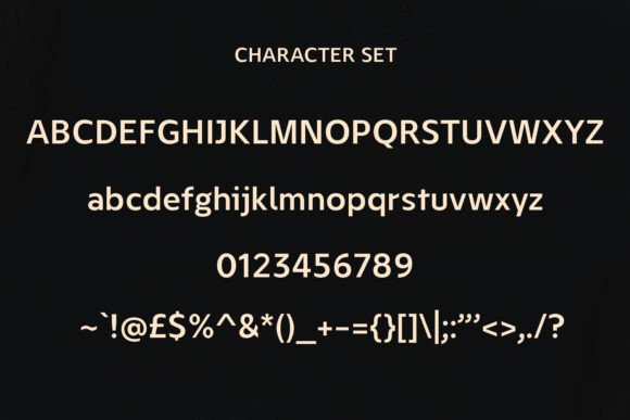 Erlota Font - Preview 6