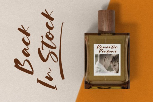 Finnley Davidson Font - Preview 3