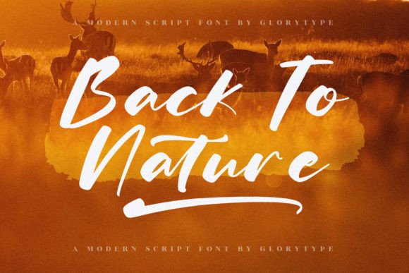 Finnley Davidson Font - Preview 6