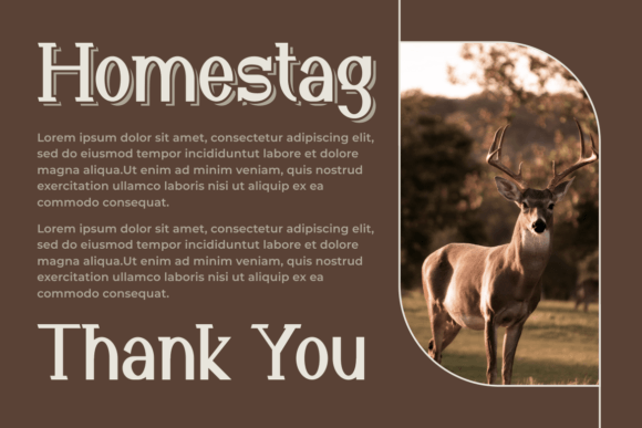 Homestag Font PNG with transparent background - Preview 2
