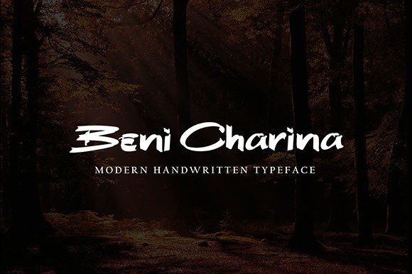 Bheni Euthentic Font - Preview 5