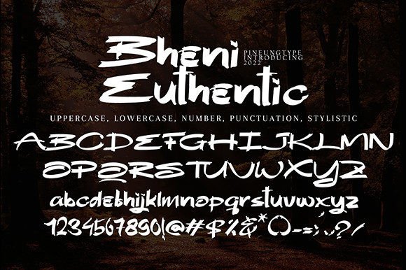 Bheni Euthentic Font - Preview 6