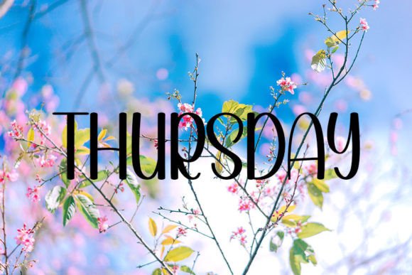February Font - Preview 4