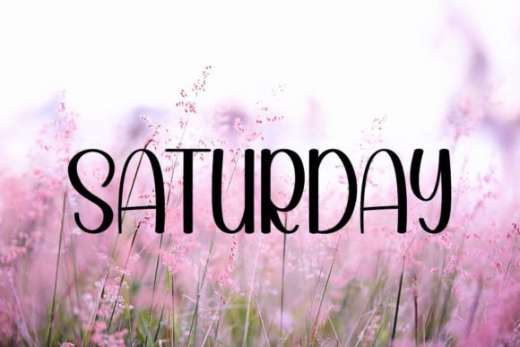 February Font - Preview 6