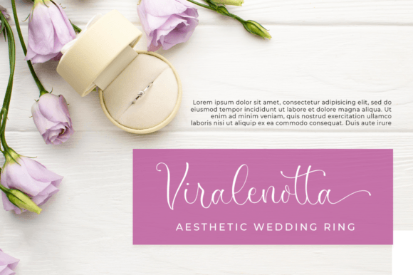 Monettise Font font preview - 2