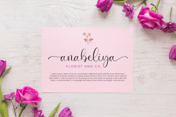 Monettise Font font preview - 3
