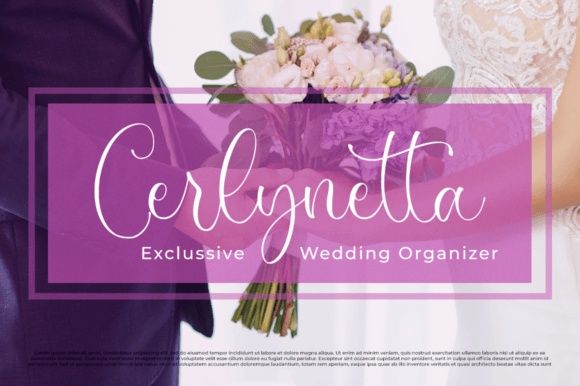 Monettise Font font preview - 4