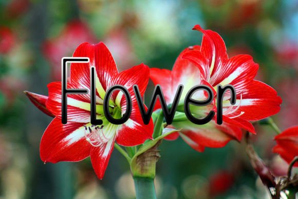 Beautiful Font - Preview 2