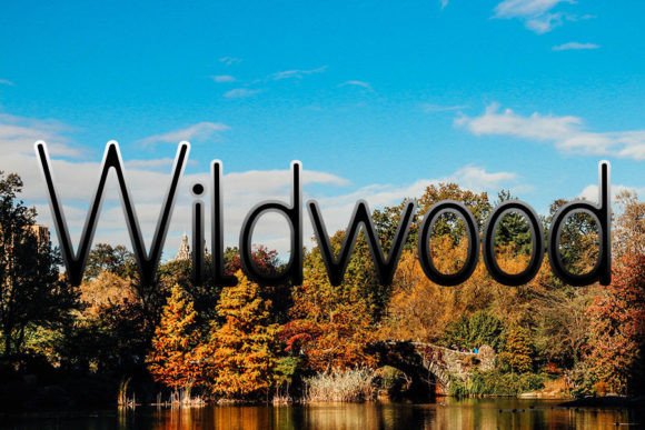 Beautiful Font - Preview 3