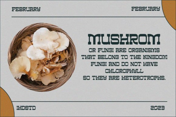 Borgenk Font - Preview 2