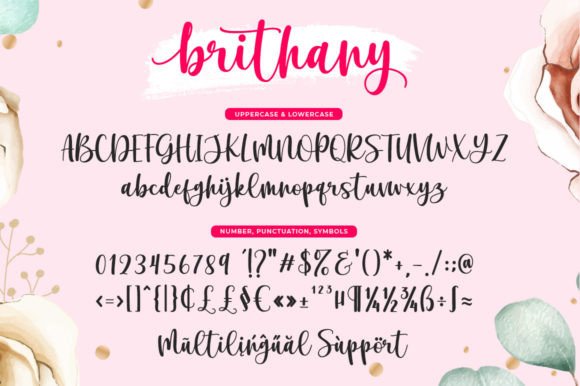 Brithany Font - Preview 4