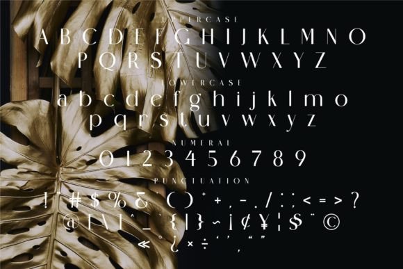 Horagen Font PNG with transparent background - Preview 5