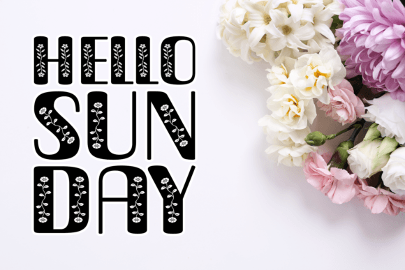 Merin Font font preview - 1