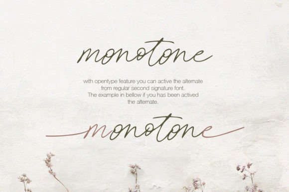 Second Signature - Duo Script Font PNG with transparent background - Preview 3