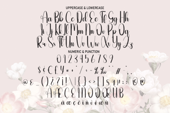 Audience Font - Preview 5