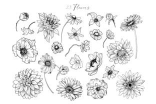 Floral Line Art Clipart PNG Graphic by Vasmila design · Creative Fabrica