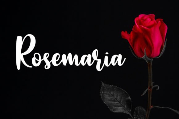 Giselina Font PNG with transparent background - Preview 3