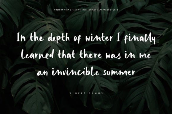 Holiday Trip Font - Preview 4