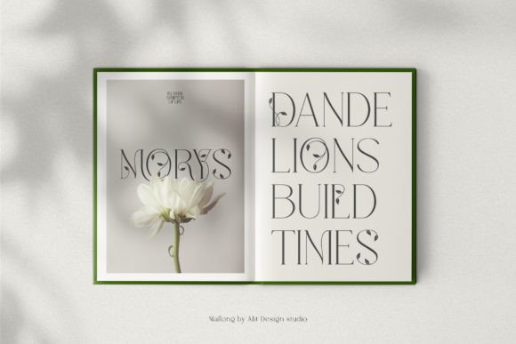Mallong Font PNG with transparent background - Preview 2