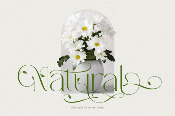 Mallong Font PNG with transparent background - Preview 3