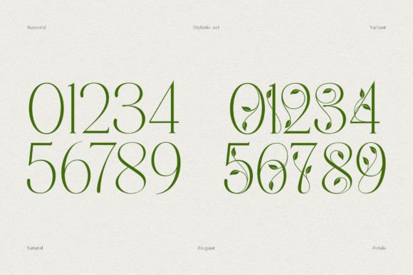 Mallong Font PNG with transparent background - Preview 6