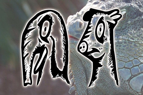 Animality Font - Preview 2