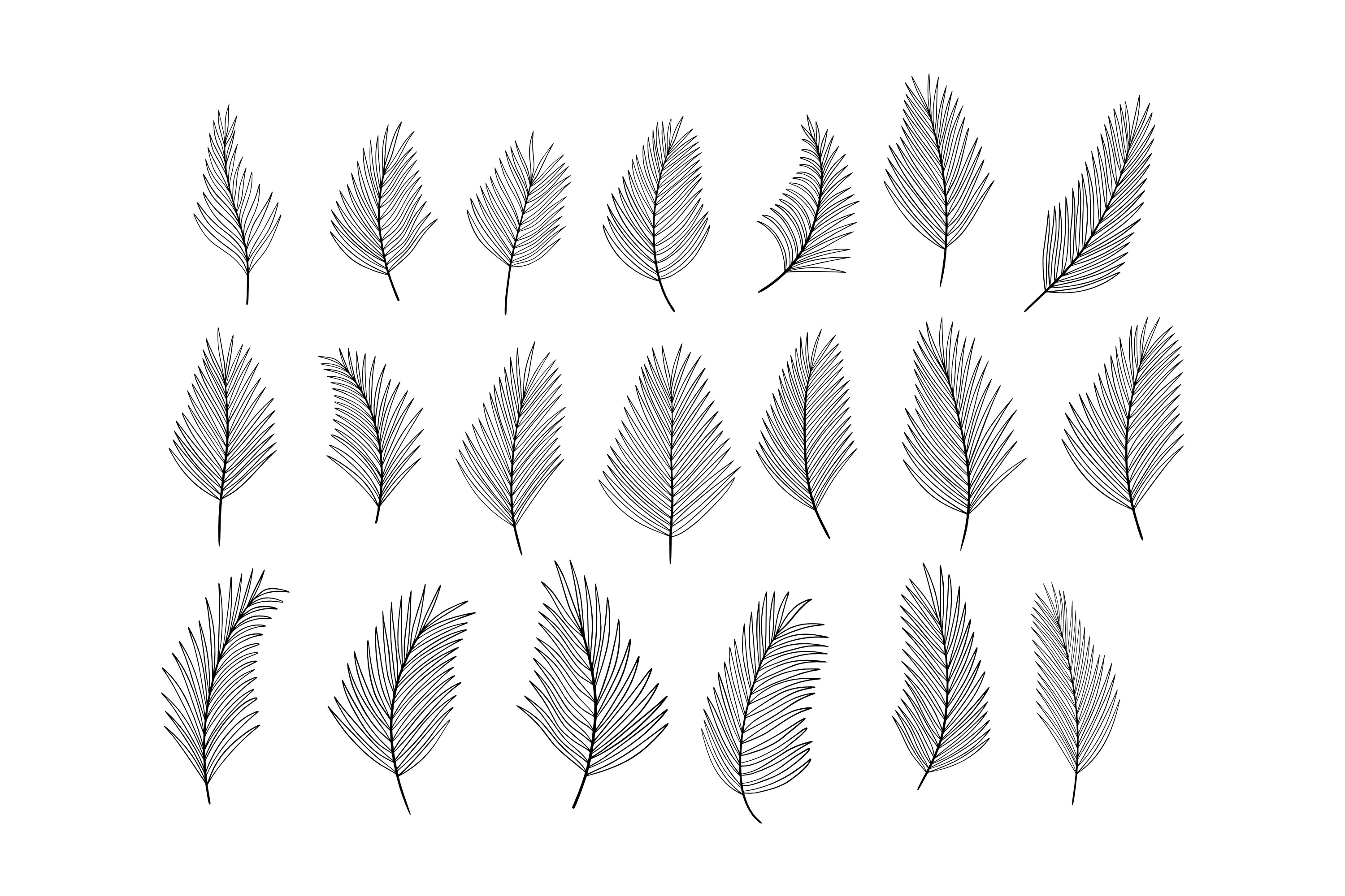 Hand Drawn Tropical Leaves Graphic by SiapGraph · Creative Fabrica