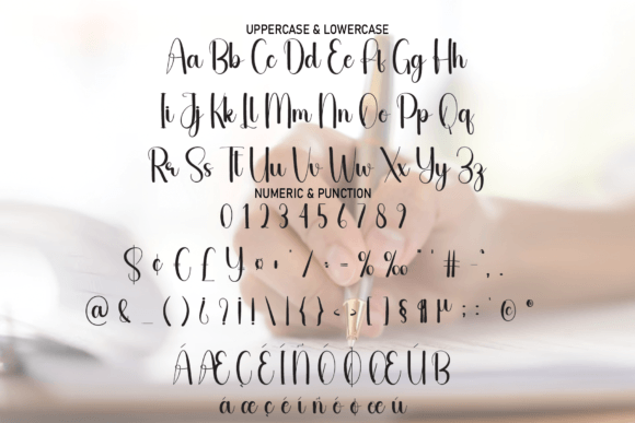 Check Font - Preview 6