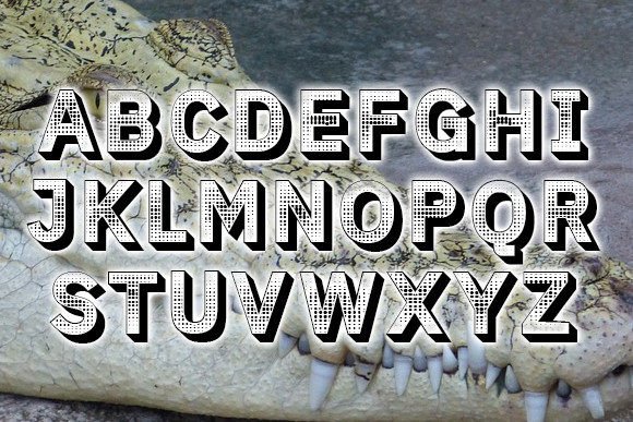 Crocodile Font - Preview 2
