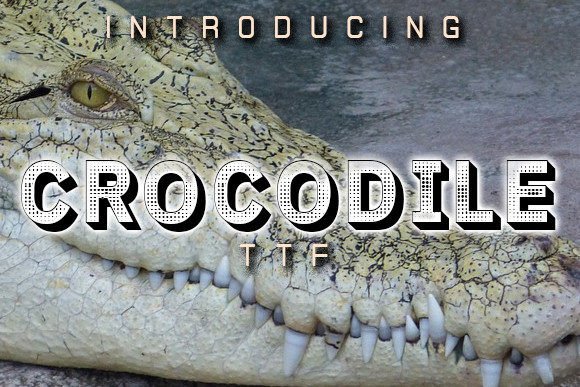 Crocodile Fonts 3