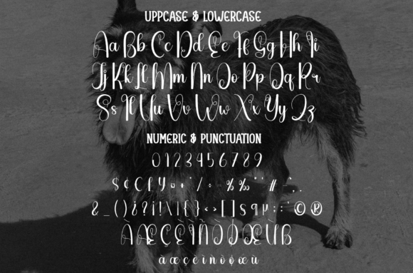 Black out Font - Preview 6