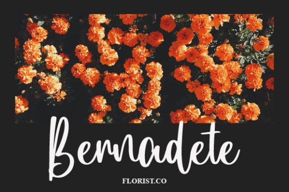 Pamela Susanna Font PNG with transparent background - Preview 4