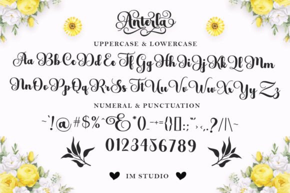 Anterla Font - Preview 4