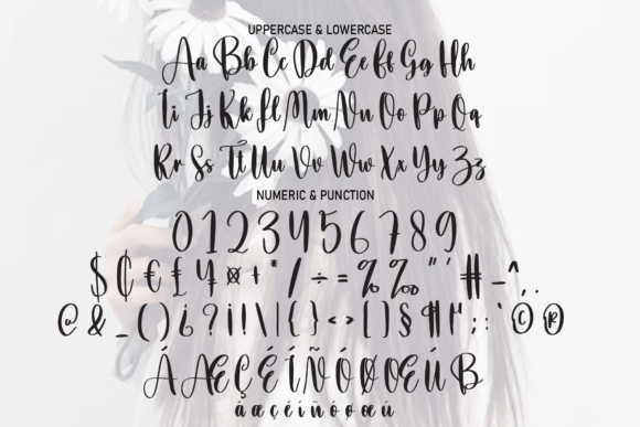 Brisk Font - Preview 4
