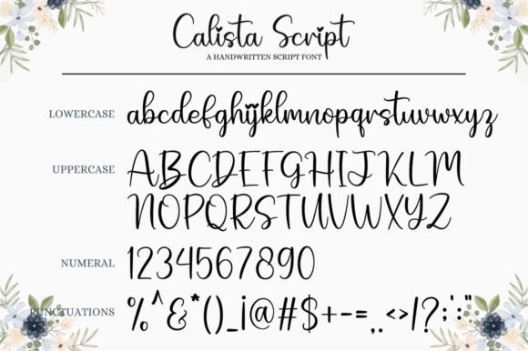 Calista Script Font - Preview 6