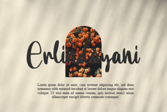 Amani Chelsea Font - Preview 6
