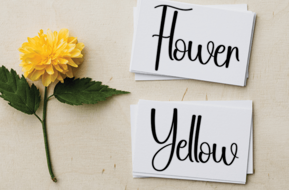 Blossom Font - Preview 2