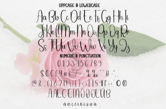 Blossom Font - Preview 5