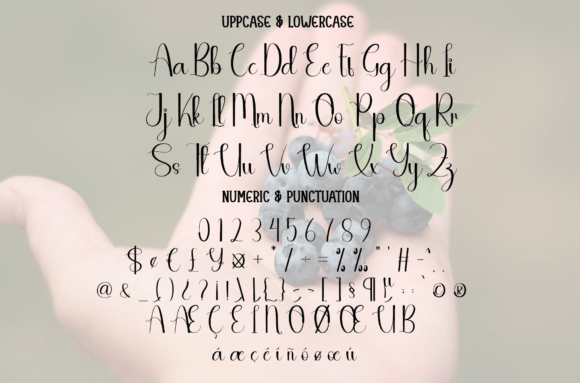 Blueberry Font - Preview 6