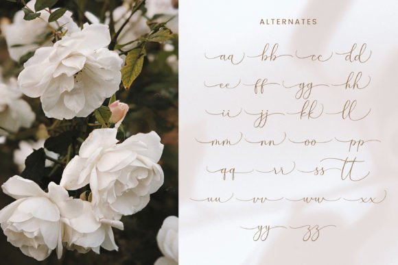 Denara Font - Preview 6